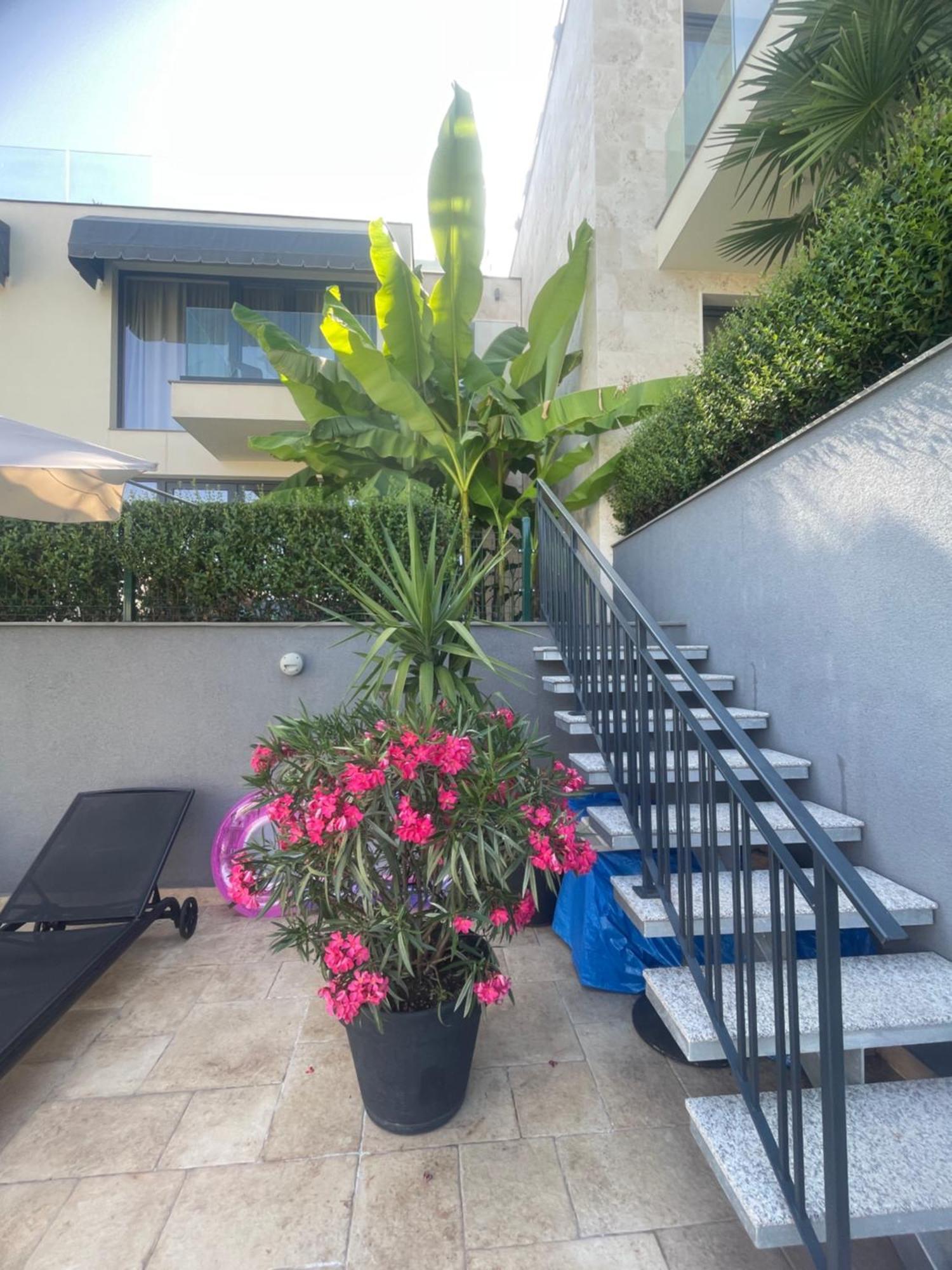 Buena Vista Villas Varna Exterior foto